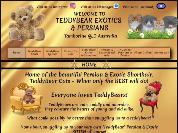 teddybearcatz.com