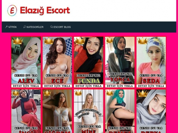 elazigrestoreyapi.com