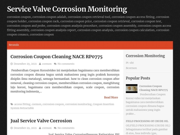 servicevalvecorrosionmonitoring.blogspot.com